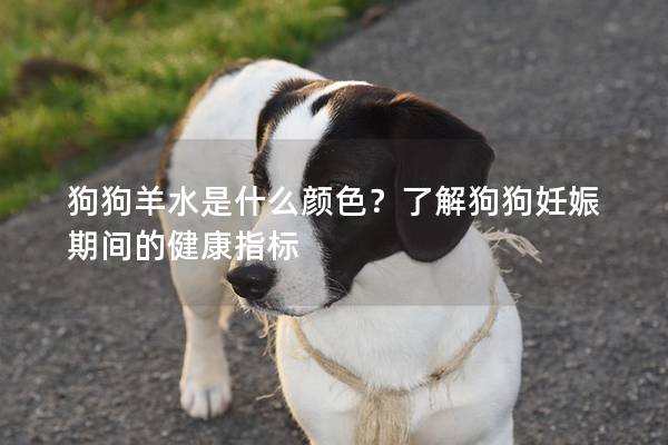狗狗羊水是什么颜色？了解狗狗妊娠期间的健康指标