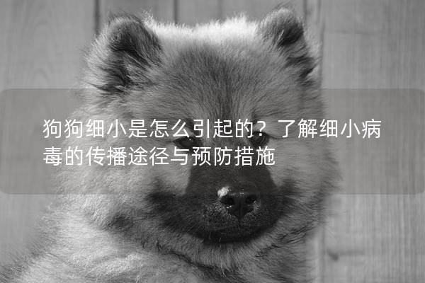 狗狗细小是怎么引起的？了解细小病毒的传播途径与预防措施