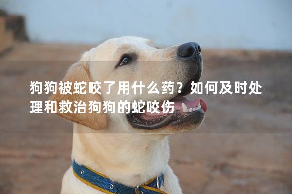 狗狗被蛇咬了用什么药？如何及时处理和救治狗狗的蛇咬伤