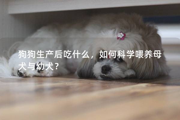 狗狗生产后吃什么，如何科学喂养母犬与幼犬？
