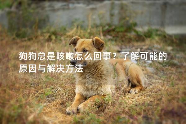狗狗总是咳嗽怎么回事？了解可能的原因与解决方法