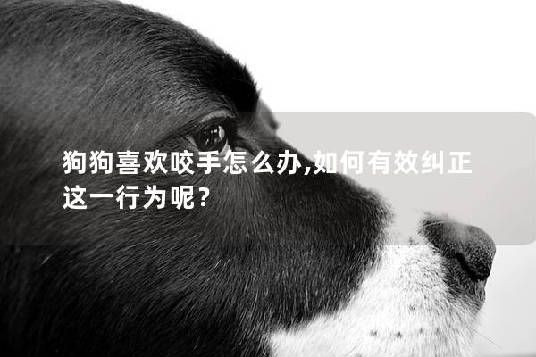 狗狗喜欢咬手怎么办,如何有效纠正这一行为呢？