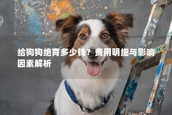 给狗狗绝育多少钱？费用明细与影响因素解析