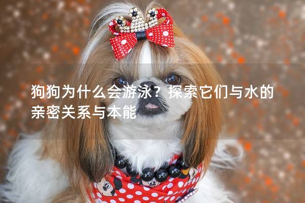 狗狗为什么会游泳？探索它们与水的亲密关系与本能