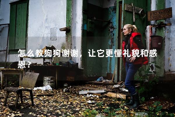 怎么教狗狗谢谢，让它更懂礼貌和感恩？
