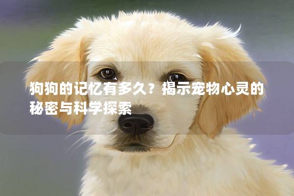 狗狗的记忆有多久？揭示宠物心灵的秘密与科学探索