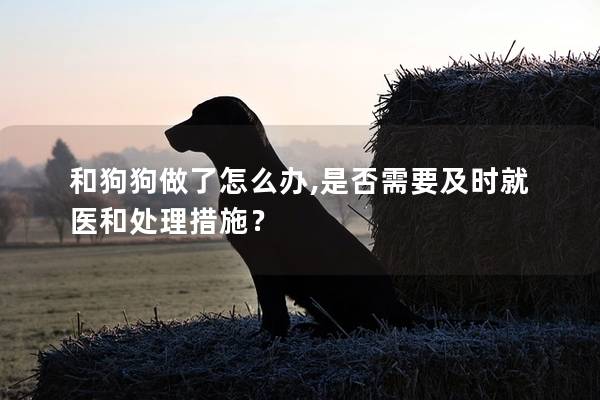 和狗狗做了怎么办,是否需要及时就医和处理措施？
