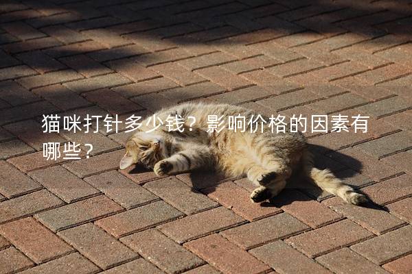 猫咪打针多少钱？影响价格的因素有哪些？