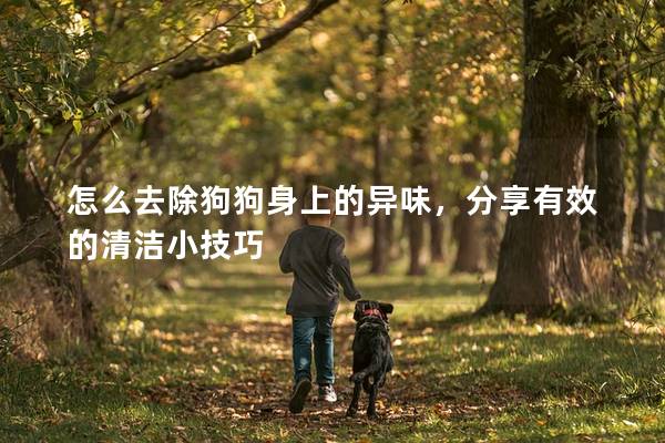 怎么去除狗狗身上的异味，分享有效的清洁小技巧