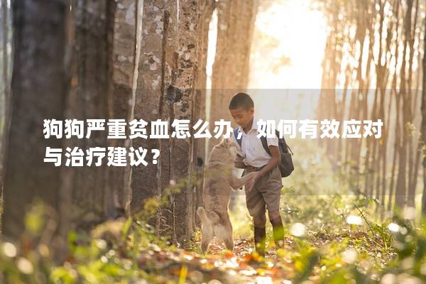 狗狗严重贫血怎么办，如何有效应对与治疗建议？