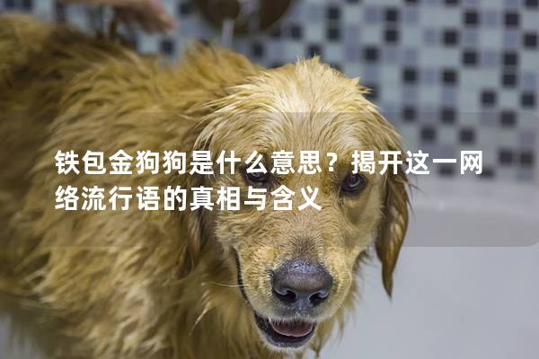 铁包金狗狗是什么意思？揭开这一网络流行语的真相与含义