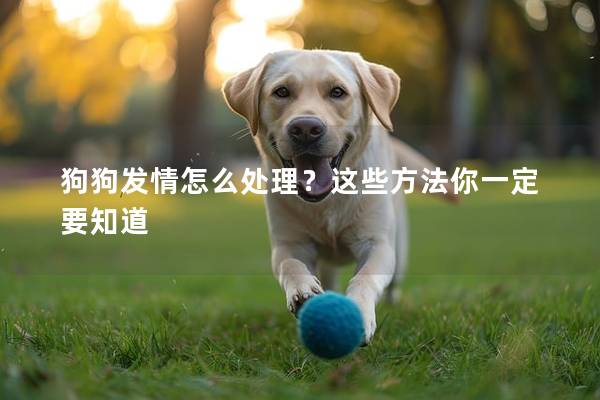 狗狗发情怎么处理？这些方法你一定要知道