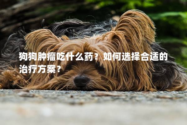 狗狗肿瘤吃什么药？如何选择合适的治疗方案？