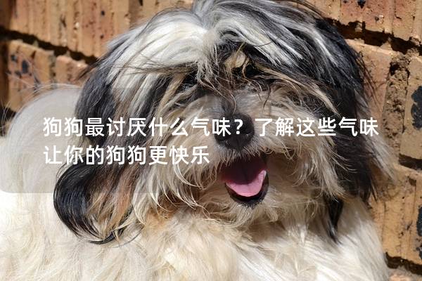 狗狗最讨厌什么气味？了解这些气味让你的狗狗更快乐