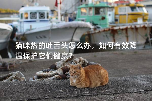 猫咪热的吐舌头怎么办，如何有效降温保护它们健康？