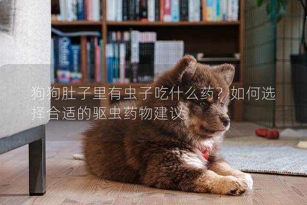 狗狗肚子里有虫子吃什么药？如何选择合适的驱虫药物建议