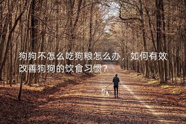 狗狗不怎么吃狗粮怎么办，如何有效改善狗狗的饮食习惯？