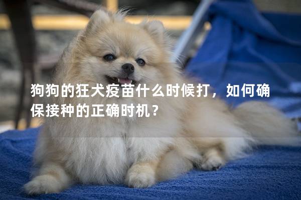 狗狗的狂犬疫苗什么时候打，如何确保接种的正确时机？