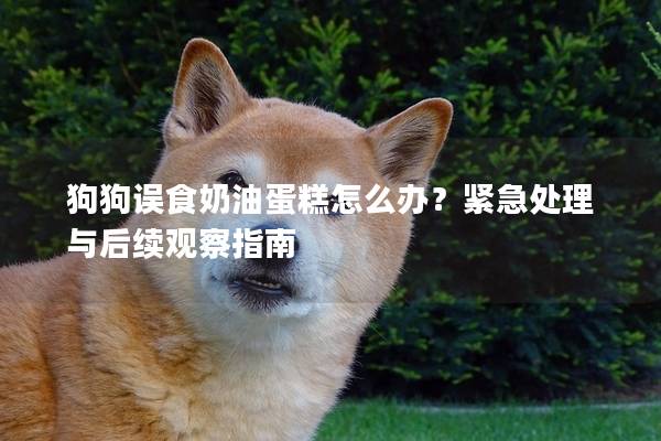 狗狗误食奶油蛋糕怎么办？紧急处理与后续观察指南