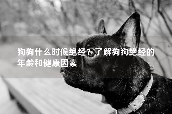 狗狗什么时候绝经？了解狗狗绝经的年龄和健康因素