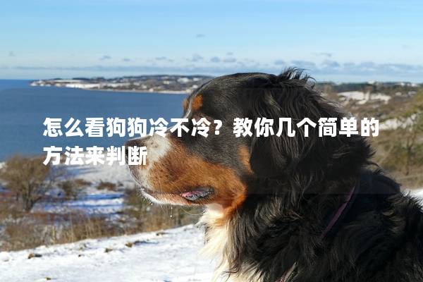 怎么看狗狗冷不冷？教你几个简单的方法来判断