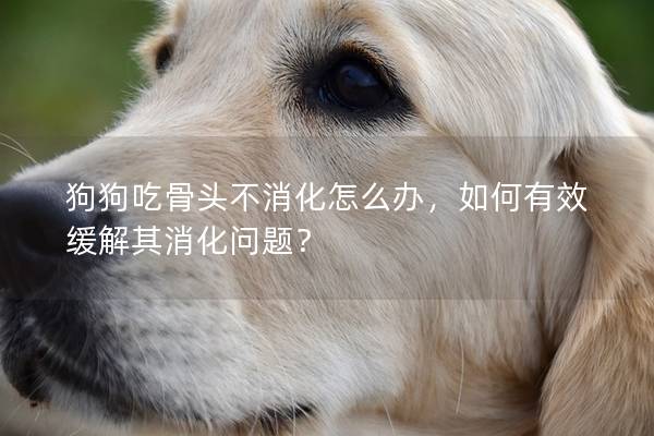 狗狗吃骨头不消化怎么办，如何有效缓解其消化问题？