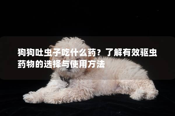 狗狗吐虫子吃什么药？了解有效驱虫药物的选择与使用方法