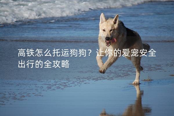 高铁怎么托运狗狗？让你的爱宠安全出行的全攻略