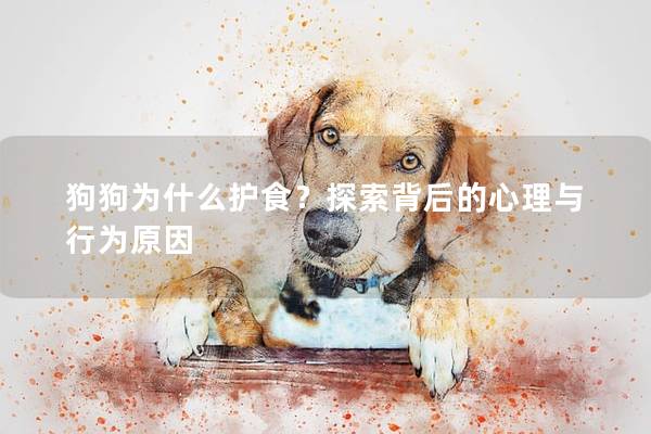 狗狗为什么护食？探索背后的心理与行为原因