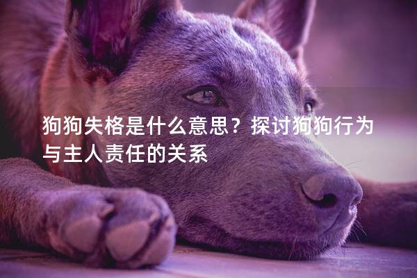 狗狗失格是什么意思？探讨狗狗行为与主人责任的关系