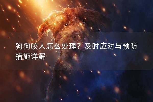 狗狗咬人怎么处理？及时应对与预防措施详解