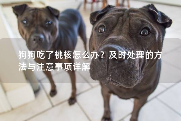 狗狗吃了桃核怎么办？及时处理的方法与注意事项详解