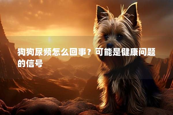 狗狗尿频怎么回事？可能是健康问题的信号