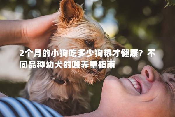 2个月的小狗吃多少狗粮才健康？不同品种幼犬的喂养量指南
