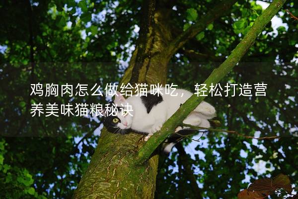 鸡胸肉怎么做给猫咪吃，轻松打造营养美味猫粮秘诀