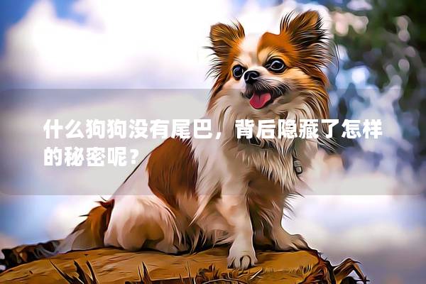 什么狗狗没有尾巴，背后隐藏了怎样的秘密呢？
