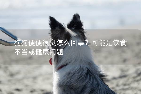 狗狗便便很臭怎么回事？可能是饮食不当或健康问题