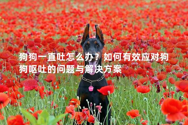 狗狗一直吐怎么办？如何有效应对狗狗呕吐的问题与解决方案