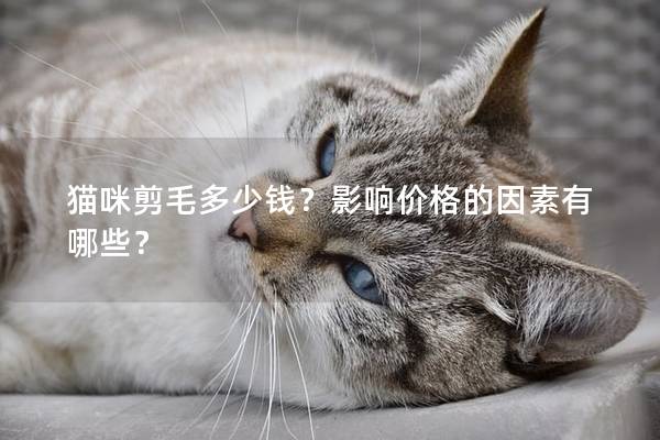 猫咪剪毛多少钱？影响价格的因素有哪些？