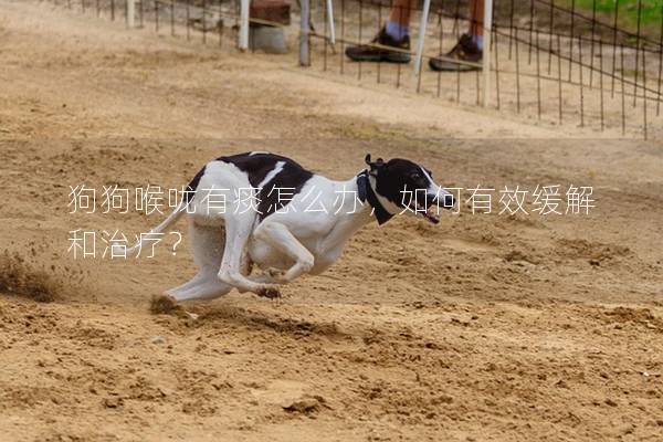 狗狗喉咙有痰怎么办，如何有效缓解和治疗？