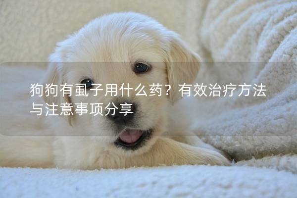 狗狗有虱子用什么药？有效治疗方法与注意事项分享