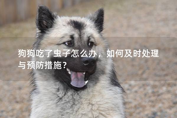 狗狗吃了虫子怎么办，如何及时处理与预防措施？
