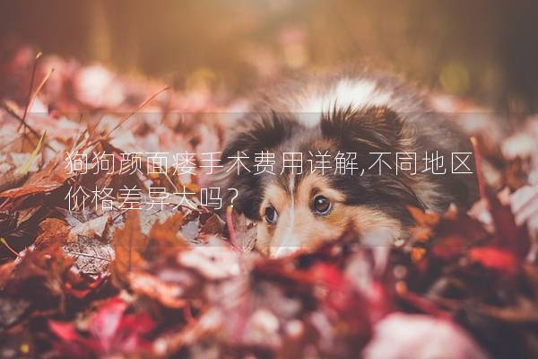 狗狗颜面瘘手术费用详解,不同地区价格差异大吗？