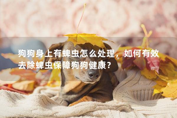 狗狗身上有蜱虫怎么处理，如何有效去除蜱虫保障狗狗健康？