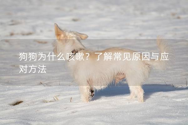 狗狗为什么咳嗽？了解常见原因与应对方法