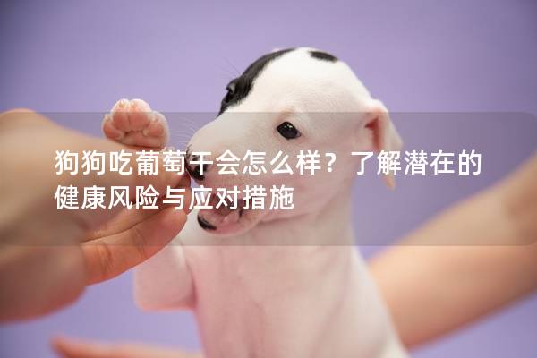 狗狗吃葡萄干会怎么样？了解潜在的健康风险与应对措施