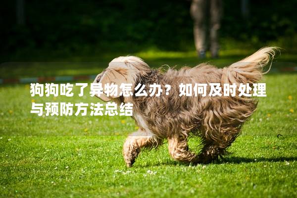 狗狗吃了异物怎么办？如何及时处理与预防方法总结