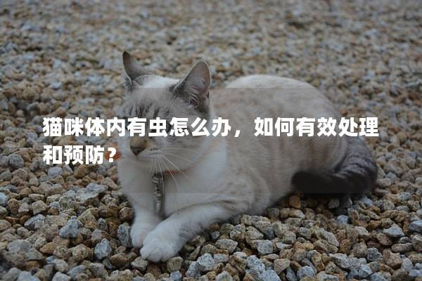 猫咪体内有虫怎么办，如何有效处理和预防？