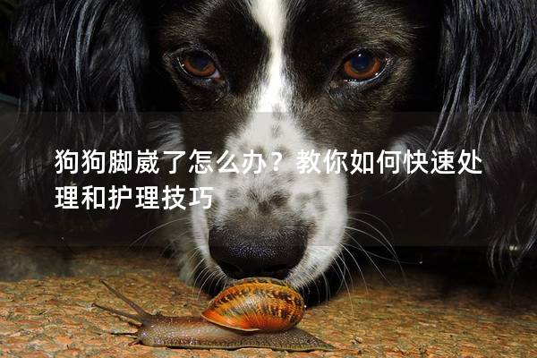 狗狗脚崴了怎么办？教你如何快速处理和护理技巧