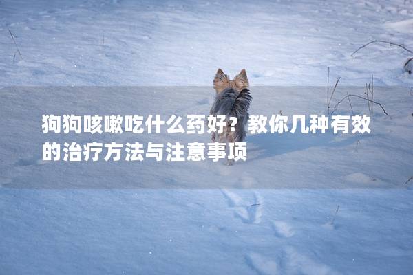 狗狗咳嗽吃什么药好？教你几种有效的治疗方法与注意事项